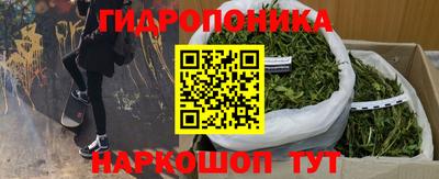 мяу мяу мука Владивосток